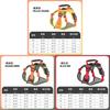 Dog Chest Harness With Nylon Material And Non Extendable Leash For Small Pets
