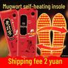 Winter Mugwort Self-Heating Insoles for Men & Women - Ultimate Foot Warmth