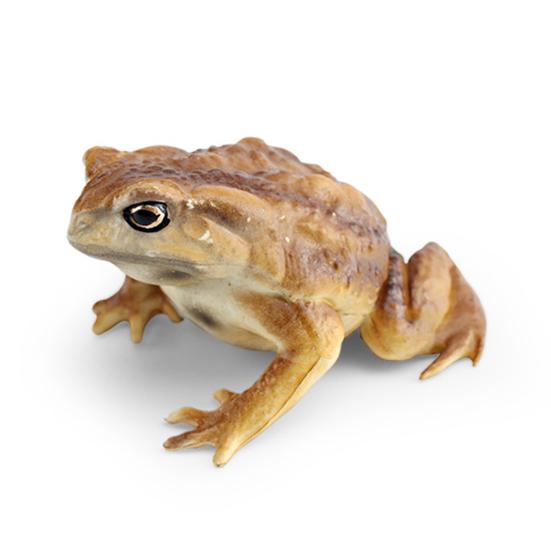 Фигурка древесной лягушки, реалистичная статуя жабы, скульптура, украшение, украшение, детская образовательная симуляция, модель дикого животного, игрушка для малышей, мальчиков и девочек, подарок