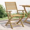 VidaXL Set of 4 Folding Garden Chairs, Seats with Backrest, Outdoor Patio Terrace Furniture, Modern, Solid Wood 365738