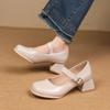 2024 Ladies Shoes Mary Janes Women's High Heels Summer Dress Pumps Women Solid Buckle Strap Heels Shoes Ladies Zapatos De Mujer