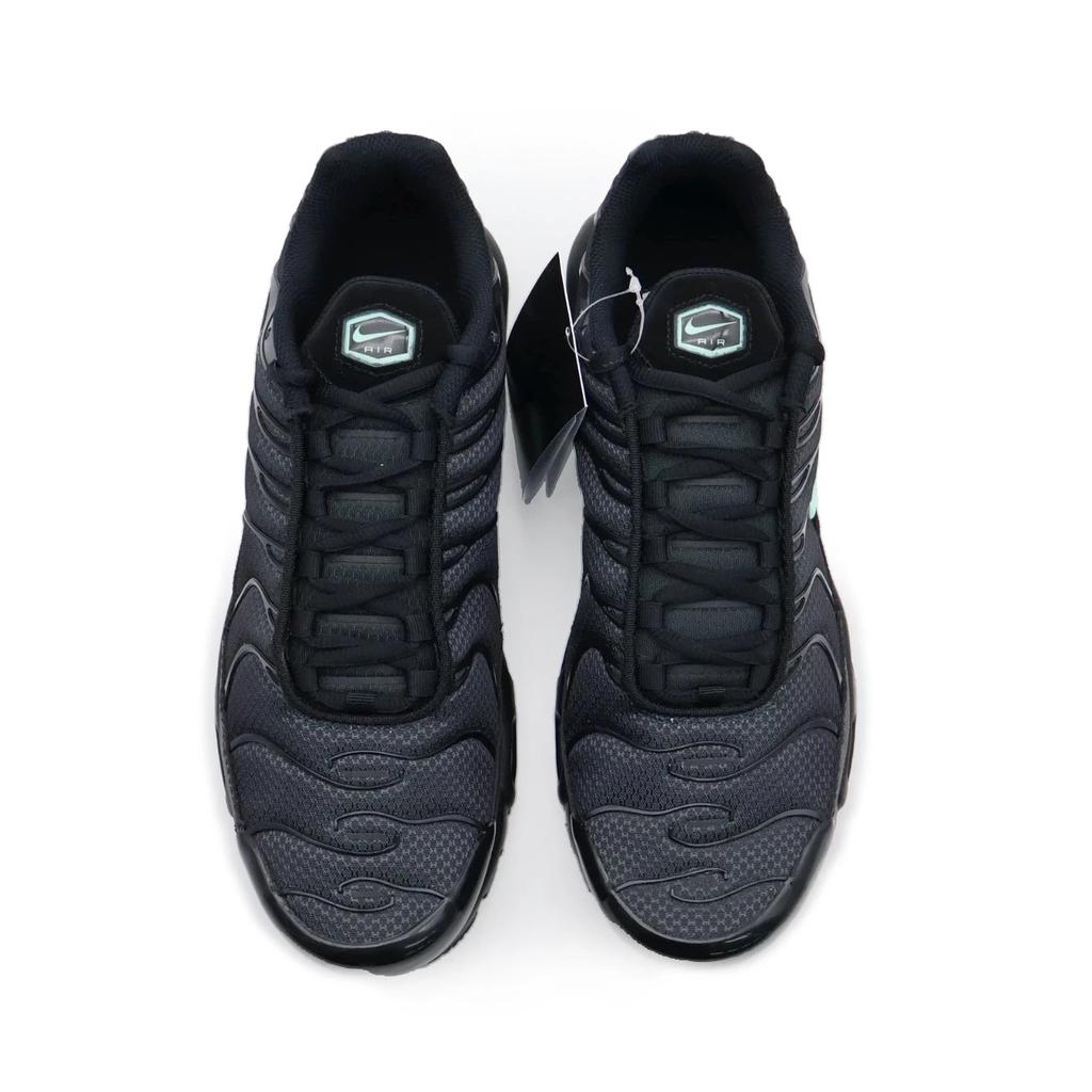 DM0032-029 Nike Air Max Plus Черный Мятный (Мужской)