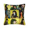 Conan Gray Album    Wishbone Square Pillow Covers Polyester Home  Cushion Case Funny Decorative Throw Pillow Case 4545