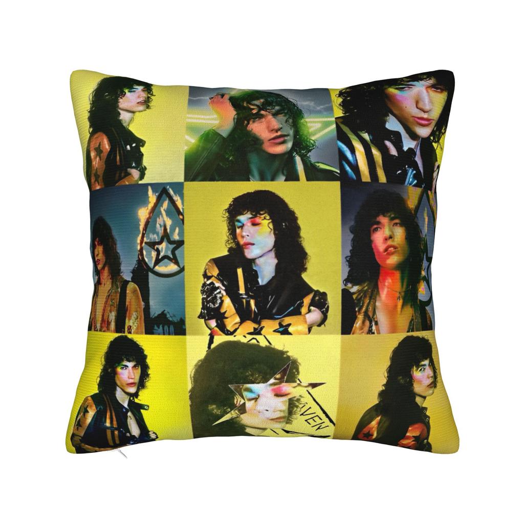 Conan Gray Album    Wishbone Square Pillow Covers Polyester Home  Cushion Case Funny Decorative Throw Pillow Case 4545