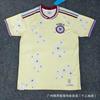 2026 World Cup Soccer Jersey Men Women Short Sleeve Football Shirt Brazil Netherlands Sweden Jamaica France Barcelona Palestine