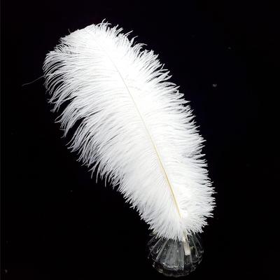 Happy Feather 16-18 дюймов Белые Страусиные Перья для Поделок, Свадебных Композиций, Домашнего Декора, DIY Набор из 10 шт.