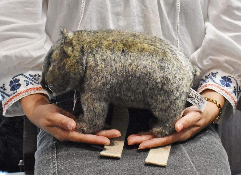 Canal BH3249 HANSA Wombat 28