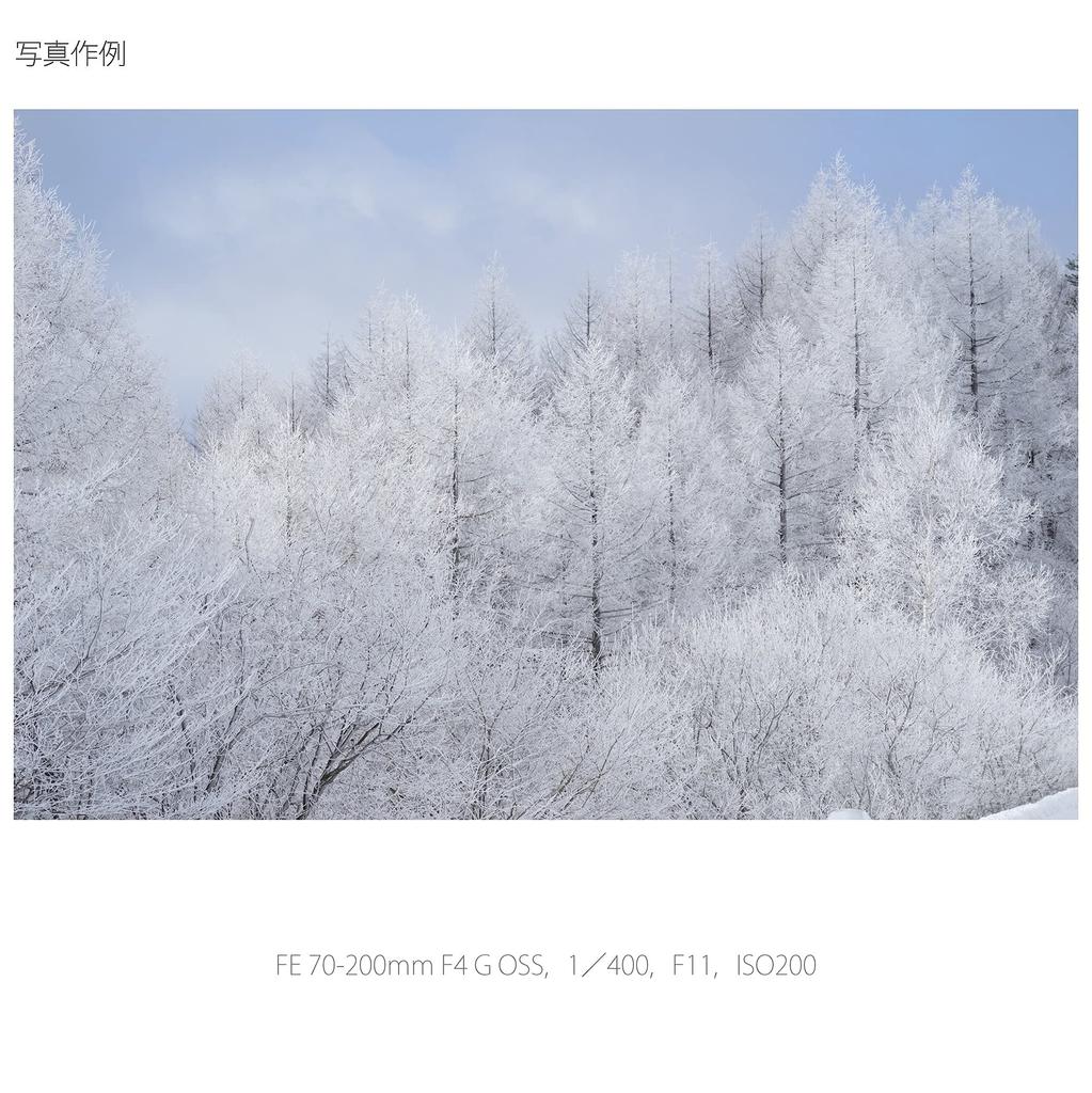 Sony Telephoto Zoom Lens FE F4 G OSS Full Size Compatible 70-200mm