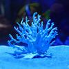 Small Soft Corals, Aquarium Plants, Iron Branches, Fish Tank Landscaping