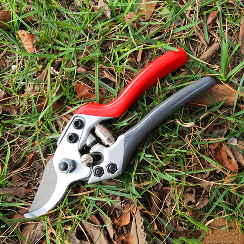 SK5 стальные ножницы для обрезки веток садовые ножницы для экономии труда обрезка плодовых деревьев ручной секатор для цветов
