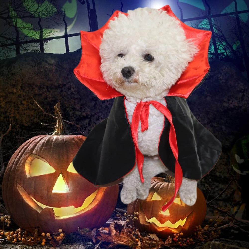 Red Black Pet Cat Vampire Cape Halloween Pet Dog Cloak Hat  Halloween Costume Party Supply