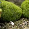 2/4/5/8/10 шт. микропейзаж мох зеленая трава фигурки миниатюрные украшения для мини DIY сказочный сад аквариум моделирование статуя ремесло