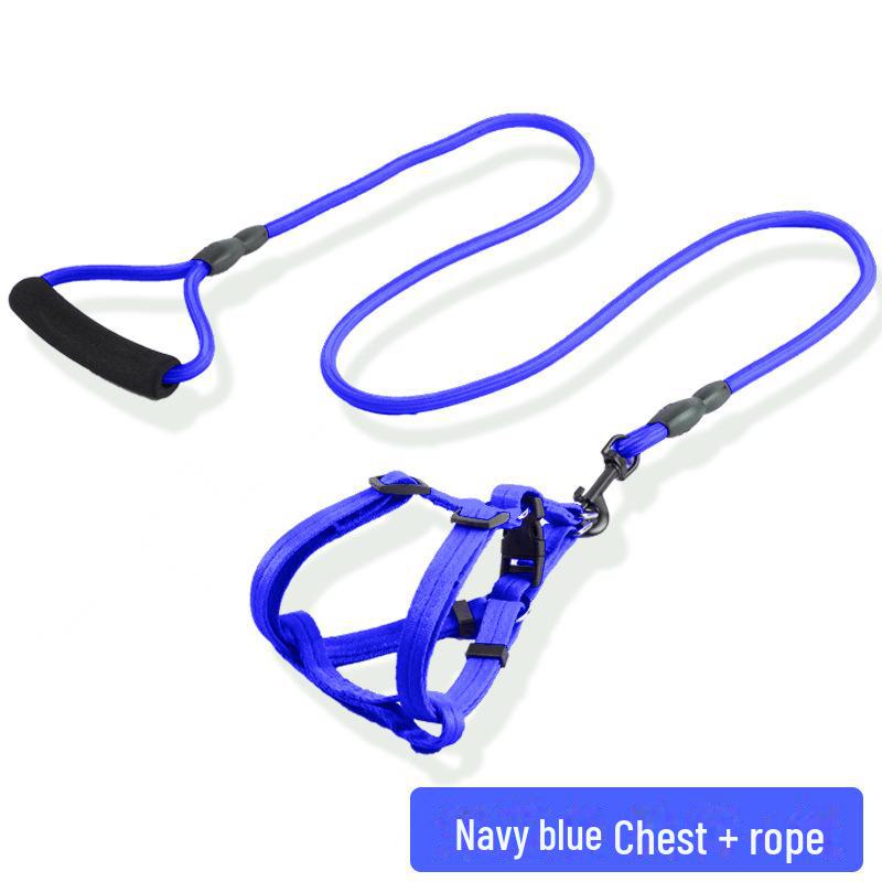 Регулируемый комплект поводка и ошейника для маленьких, средних и крупных собак - Идеально подходит для выгула домашних питомцев, таких как тедди и золотистый ретривер