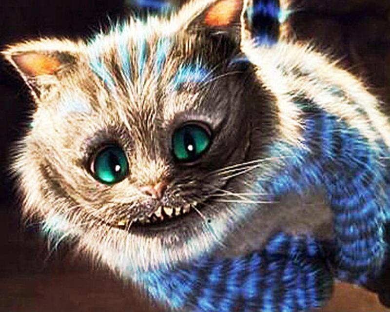 5D DIY Круглая/квадратная алмазная живопись Носорог животное Алмазная вышивка Набор для вышивки крестом Кошка Мозаичная картина Алмазное украшение подарок