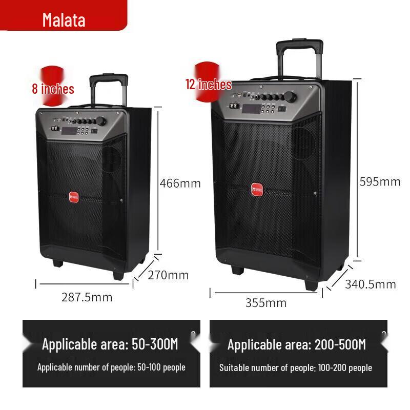Портативная Bluetooth-колонка для караоке Malata M+9086, 8 дюймов, штепсель CN (адаптер в комплекте)