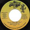7-дюймовая пластинка ANTHONY B - Can't Buy We Out MAS0145 Massive B 1998 США Регги, Ска и Даб Б/У