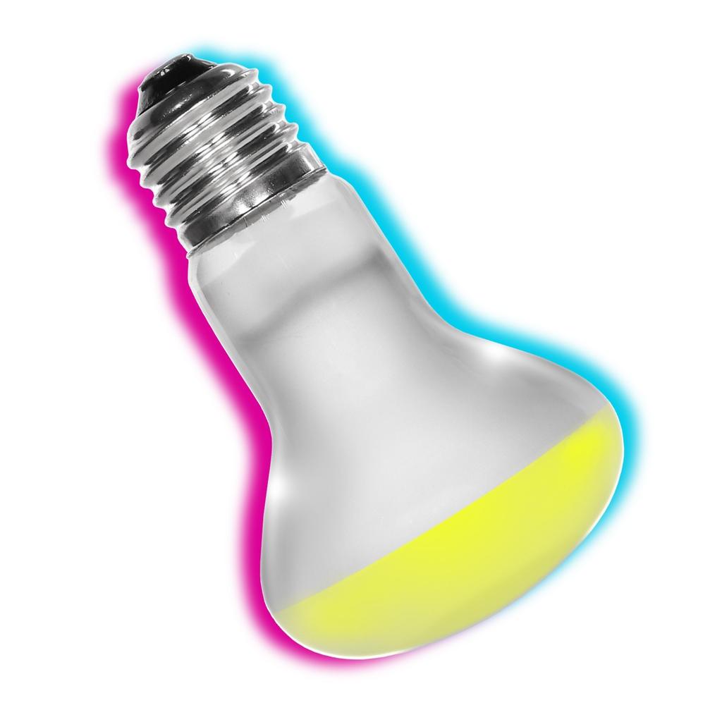 Repti-Zoo Daylight Basking Spot 75W - Spot Heating Bulb