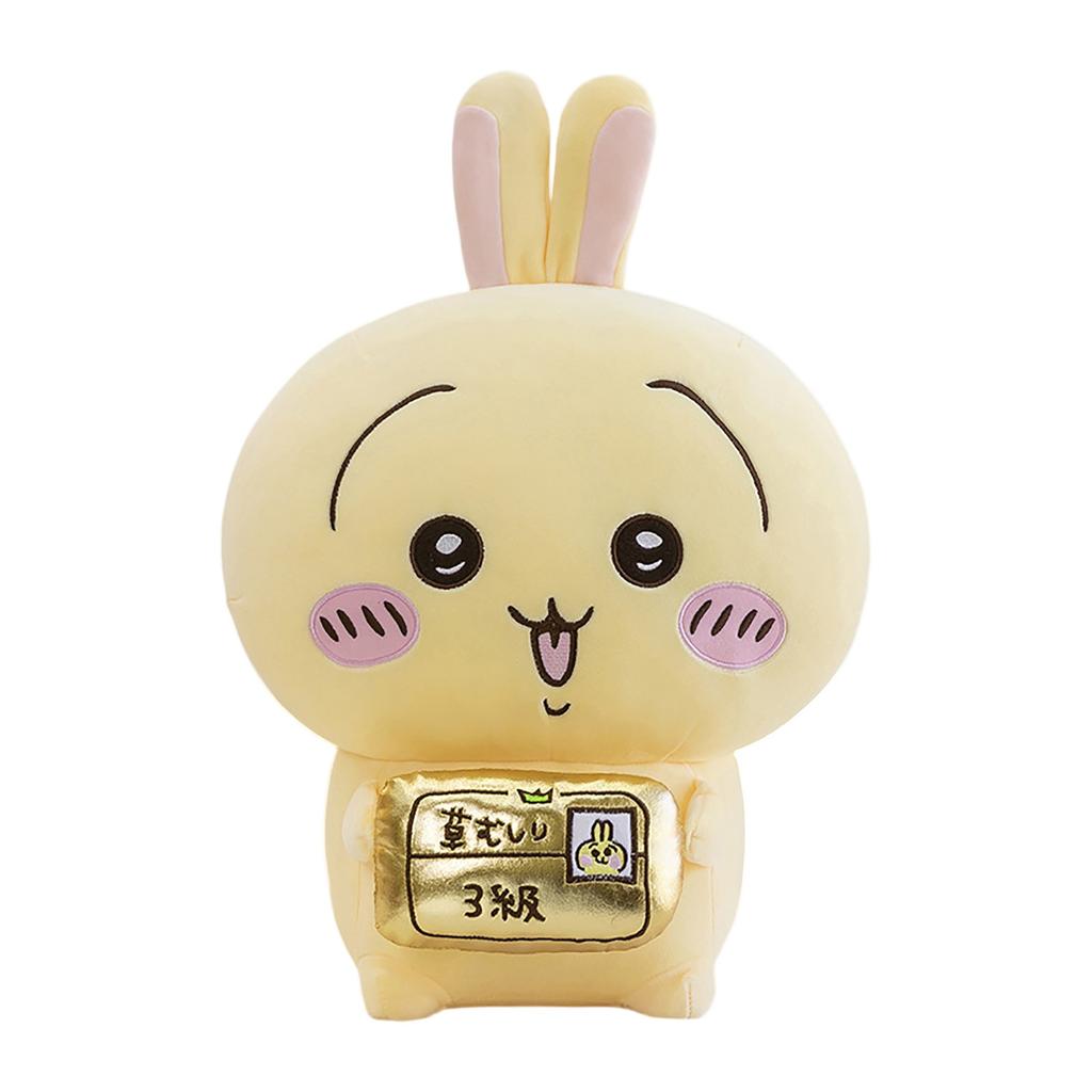 Plush Toy Pillows Are The Favorite Plush Toys Of The Whole Family And Can Be Given As Gifts To Children