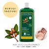 LOGONA [Официальный японский импорт] Шампунь для блеска Аргана 250 мл (х 1)