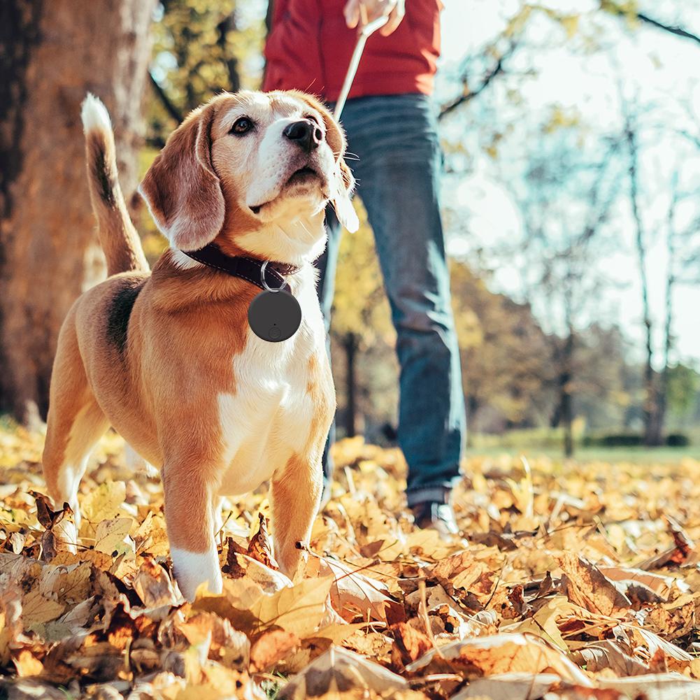 Smart Finder Locator Bluetooth-Compatible Works for Android & iOS Tracking Device Remote Photo Shoot for Kids Dog Pet Cat Wallet