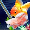 Plaything Simulation Betta Stick Interactive Fish Training Stick Aquariums Wand  Tank Decoration