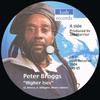 7-дюймовая пластинка PETER BROGGS  Higher Ises LRS05 Lush Records 2004 Швеция Регги Ска Даб Б/у