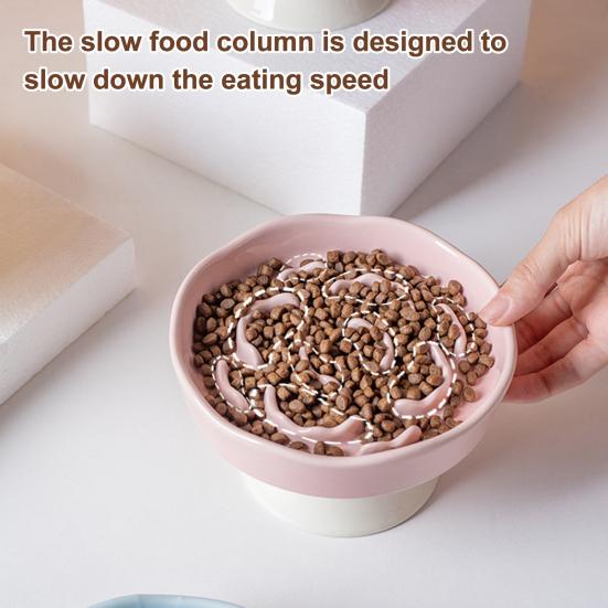 Raised Pet Slow Feeder Bowl, Ceramic Slow Down Eating Food Bowl, Anti Vomiting Food Dish for Small Medium Dogs & Cats