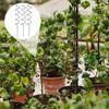 3 Pcs Plant Support Stakes Stakes Spiral Twist Tomato Plants Stakes Iron