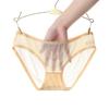 Low Waist Transparent Mesh Briefs Sexy Underwear Cute Panties for Women