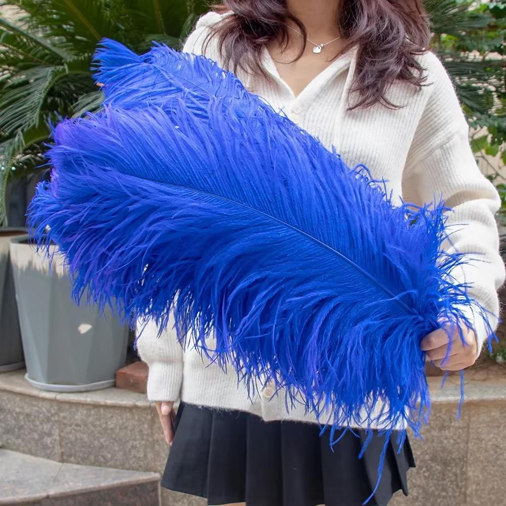 15-60Cm Natural Ostrich Feathers | High-Quality For Diy, Wedding, Party, Stage, Costume & Home Decor | Various Colors Available