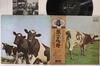 LP Пластинка PINK FLOYD - Atom Heart Mother EOZ80008 ODEON 1974 Япония Оби Рок Б/У