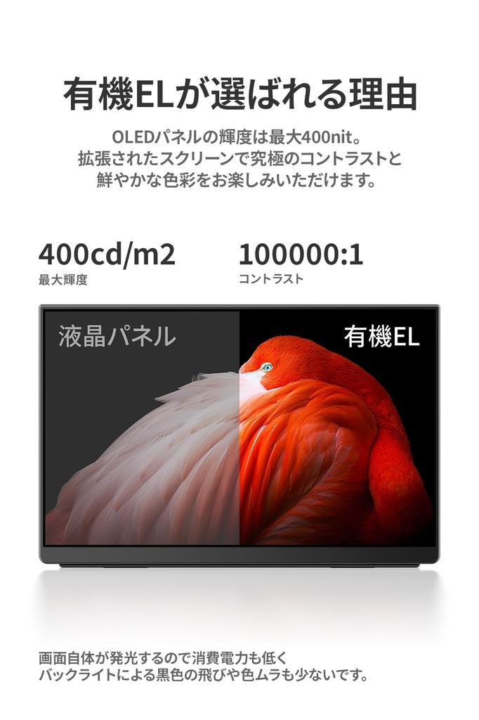 EHOMEWEI 13.3" OLED Mobile Monitor FHD