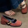 Elegant Retro Spliced Color Commuter Chunky Heel Women's Shoes Spring New One-Strap Mary Jane Shoes Comfortable Casual Footwear