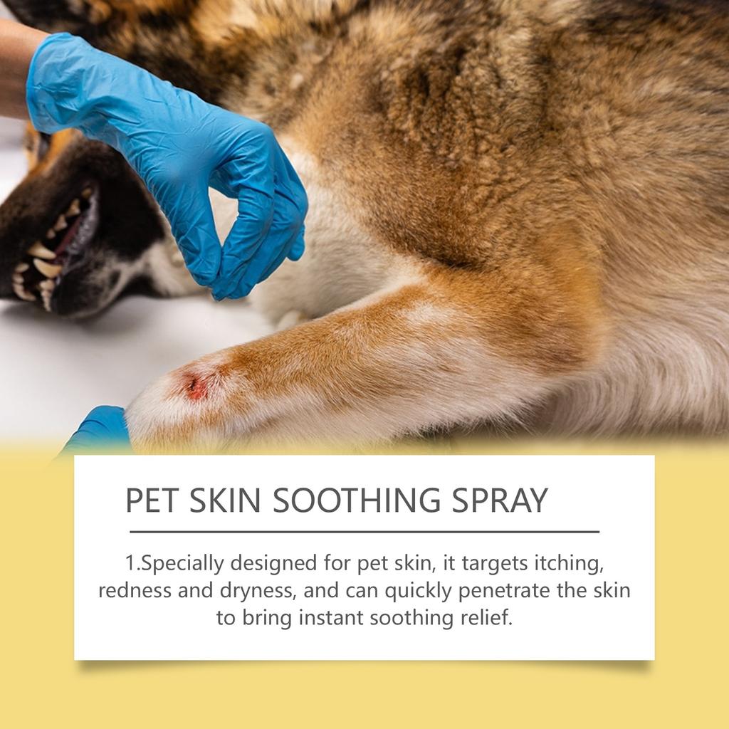 Pet Skin Spray Dog & Cat Skin Care Spray, Soothing Spray Cleansing & Softening Skin, Soothing -Itch Care Spray Nourishing Spray,50ML