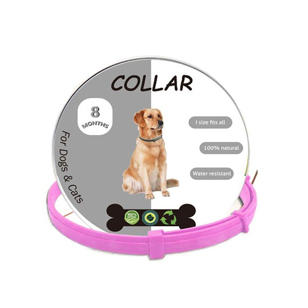 8 Month Protection Flea and Tick Collar Retractable Pet Supplies Antiparasitic Collar  Teddy