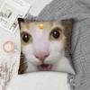 Чехол на подушку с смешным мемом про кота, квадратный, двусторонний принт, короткий плюш, чехол на диванную подушку, для спальни, прикроватной тумбочки
