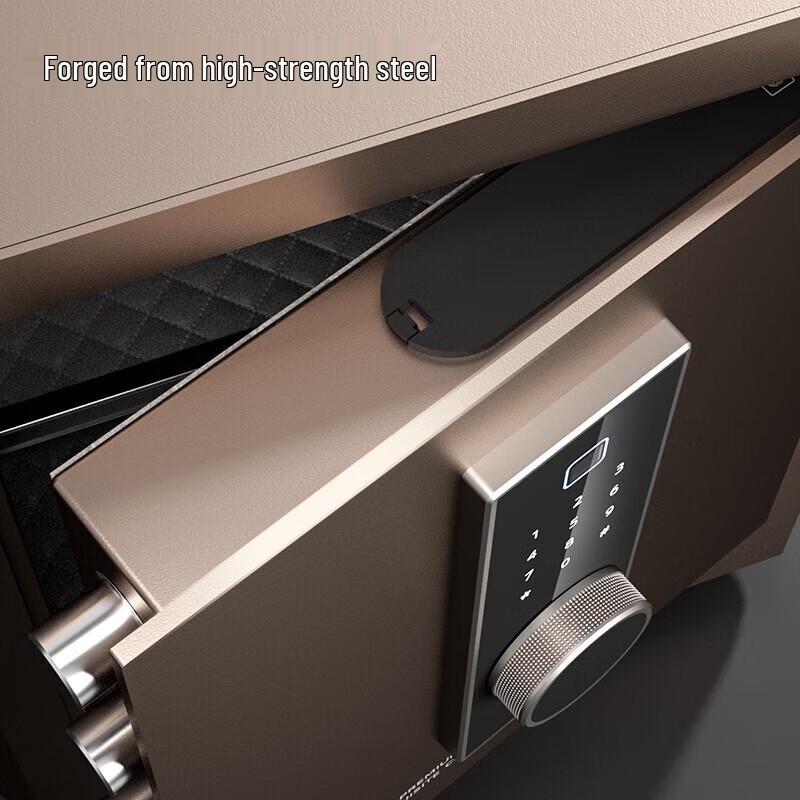 Deli AE862 Fingerprint & Password Safe Box