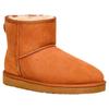 Ugg Сапоги Classic Mini