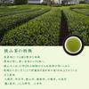 Top Smile Sayama Tea Saitama Deep Steamed Green Tea Loose Leaf First Harvest 88 Night Premium 100g 3 Bags