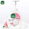 Hello Kitty Limited Edition Antibacterial Foam Hand Wash