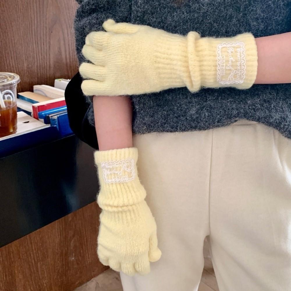 Thicken Winter Gloves Warm Five Finger Gloves Korean Style Touch Screen Gloves Women