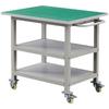 Stainless Steel Mobile Workbench