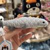 16cm Plush Toys Funny Sardine Dolls Plush Fish Toys Sofa Plush Decorative Doll Home Decoration
