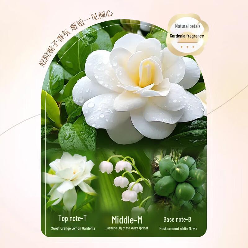 Miss Li Gardenia Fragrance Moisturizing Shower Gel 3-Pack