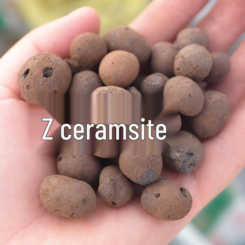 Гидропонная стеклянная цилиндрическая ваза для сциндапсуса и спатифиллума - Прозрачный контейнер для выращивания в воде с бесплатной доставкой.