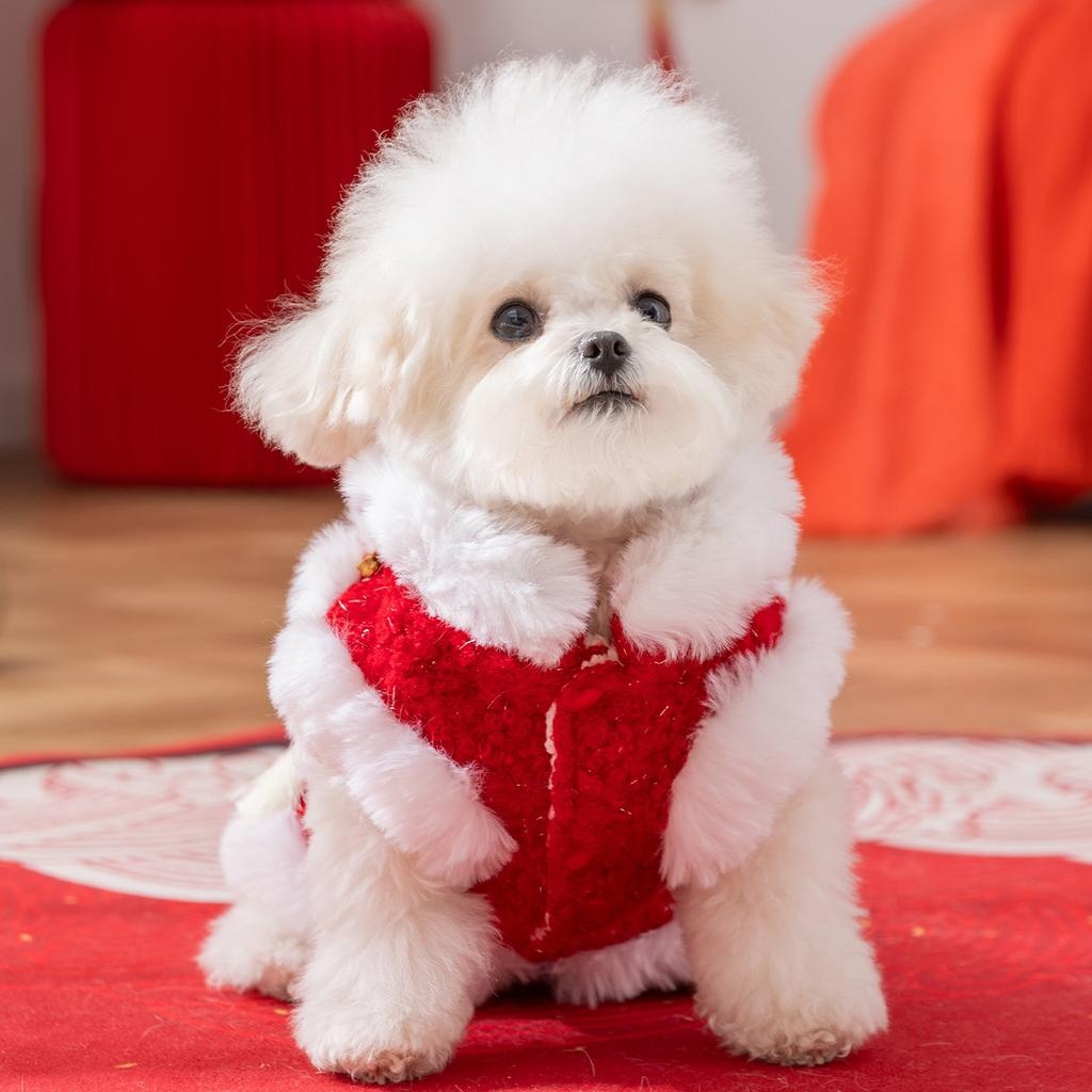 Pet cotton-padded clothes and silver wool New Year's traction vest small dog than panda Mimi autumn and winter two-legged dog clothes