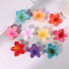 Seaside Vacation Hair Clip Back Of The Head With Multi-Color Optional Bauhinia Clip