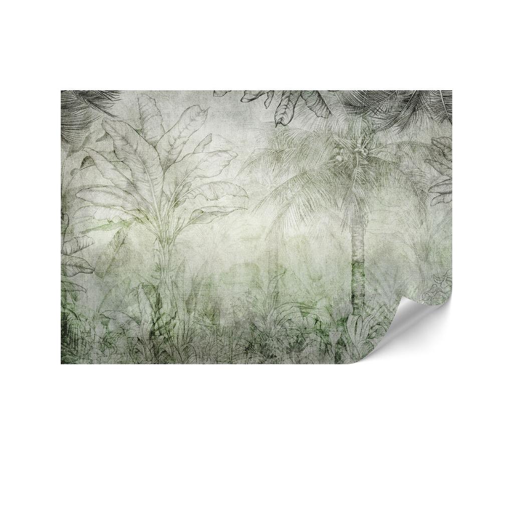 Fototapeta Flizelinowa Standard - 450 X 315 Cm - Styl Boho - Natura