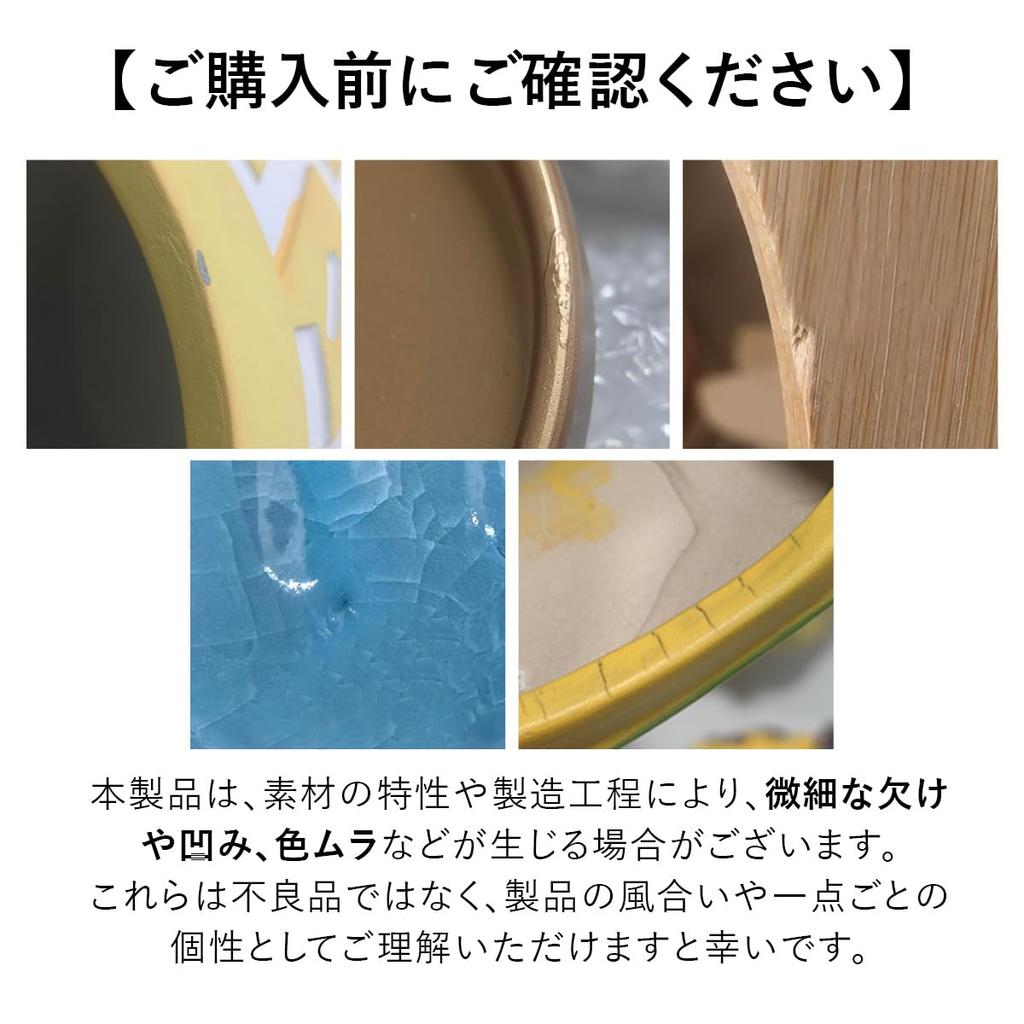 Iikuru Stylish Ceramic Planter Set for Houseplants and Succulents