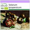 Organic - Tomato - Black Cherry - 10 Seeds - Solanum Lycopersicum